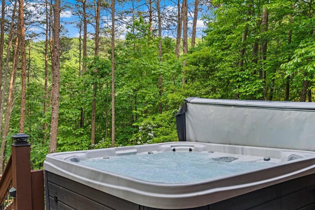 Lakeside Retreat Hot Tub Fishing Hiking Ellijay Extérieur photo
