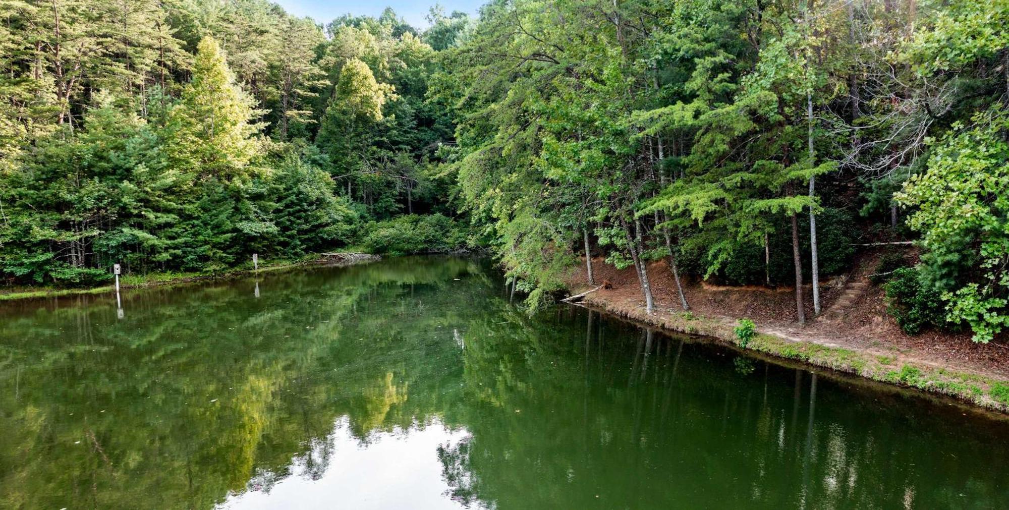 Lakeside Retreat Hot Tub Fishing Hiking Ellijay Extérieur photo